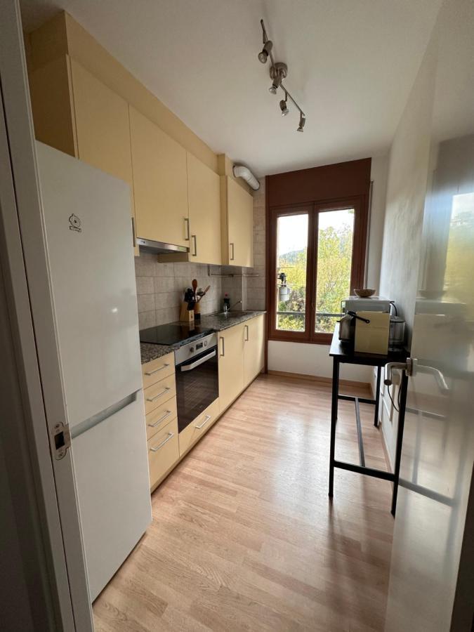 El Bressol De La Muntanya Apartman Ripoll Kültér fotó